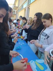 viber_slika_2024-10-12_00-09-42-504.jpg